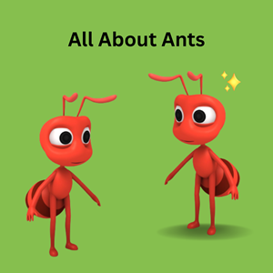 All About Ants