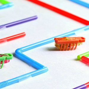 Hexbug Maze